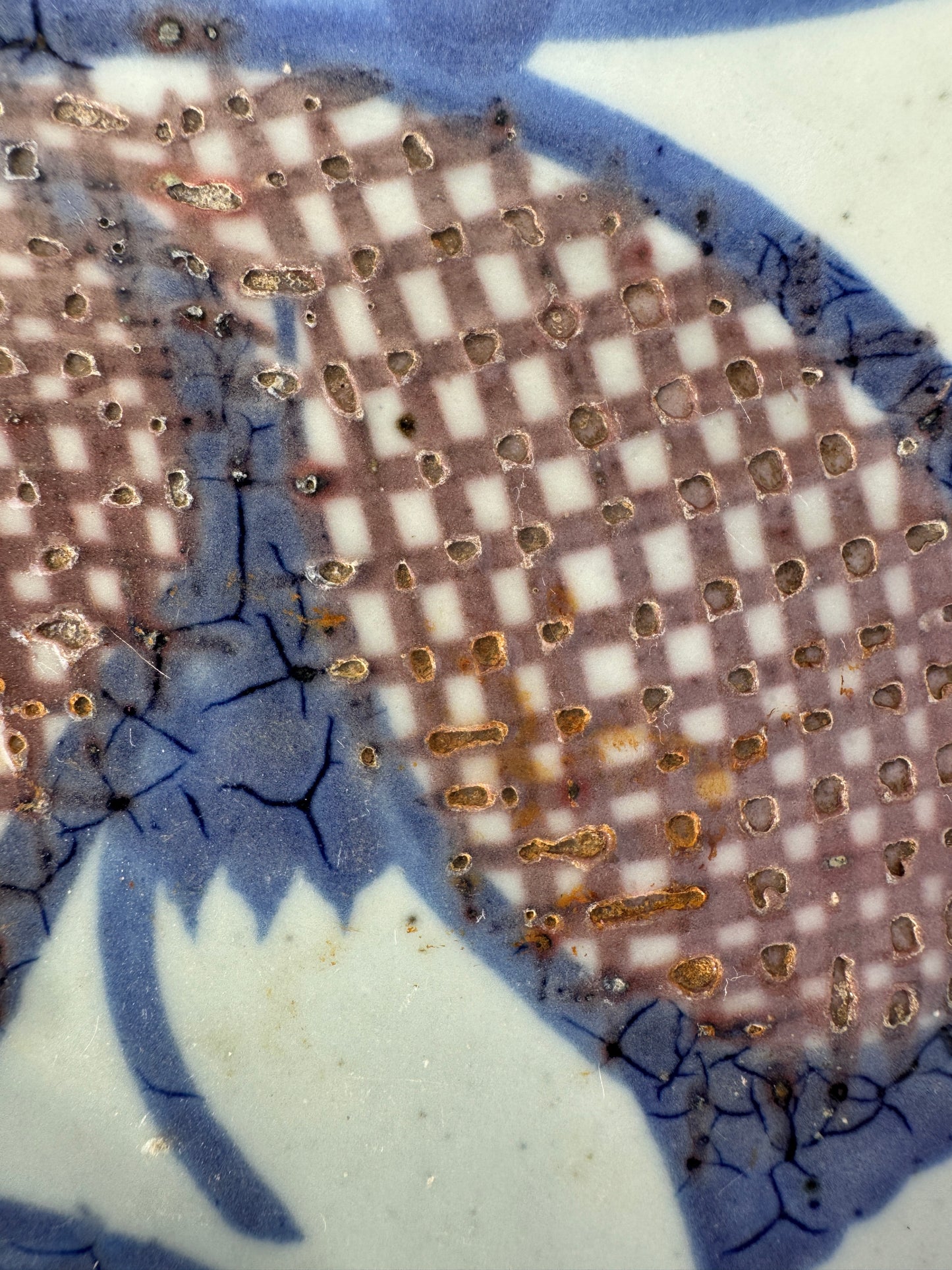 Antique Chinese Porcelain Plate – Fish Motif – Hand-Painted Blue & Brown – Guangyuan Studio – Pre-1910 – 21.5 cm