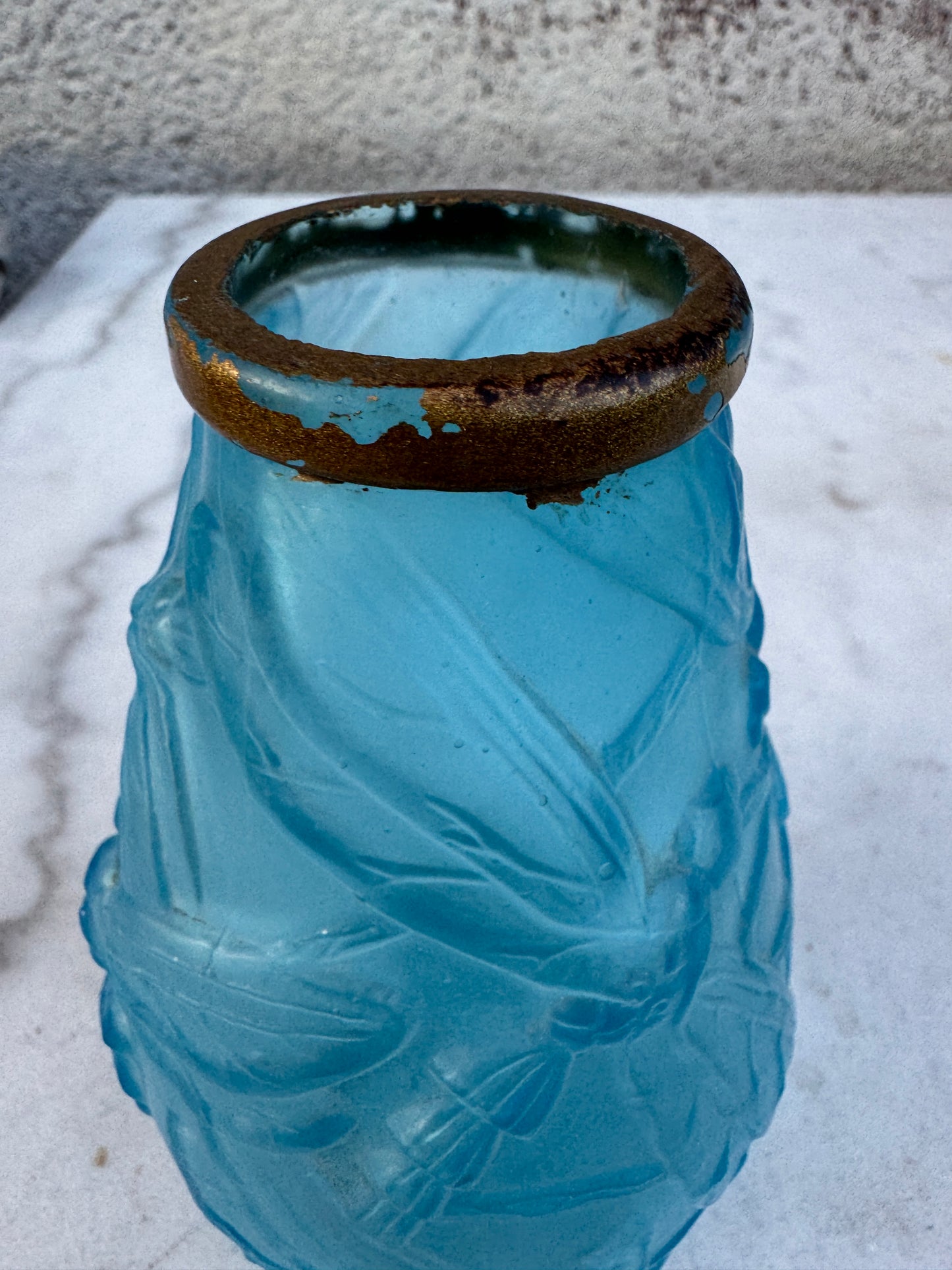 Vintage French Art Deco Glass Vase – Frosted Blue with Dragonfly Relief and Gilded Rim, ca. 1930s