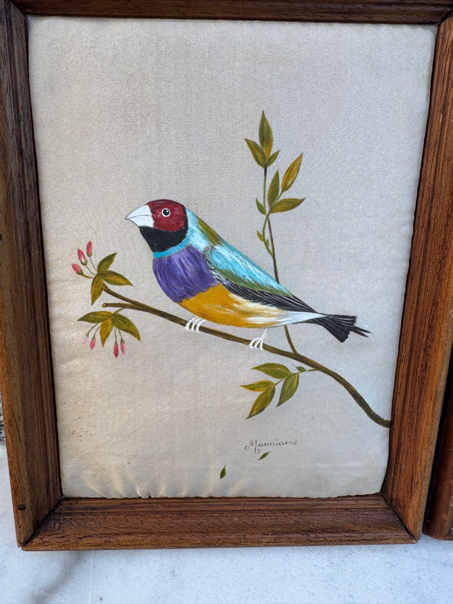 Pair of Hand-Painted Bird Portraits on Silk – Diamant de Gould & Perruche de Bourke – Signed Mauriane