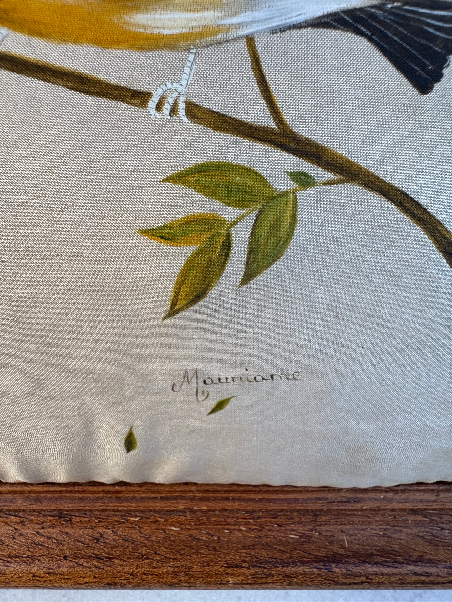 Pair of Hand-Painted Bird Portraits on Silk – Diamant de Gould & Perruche de Bourke – Signed Mauriane