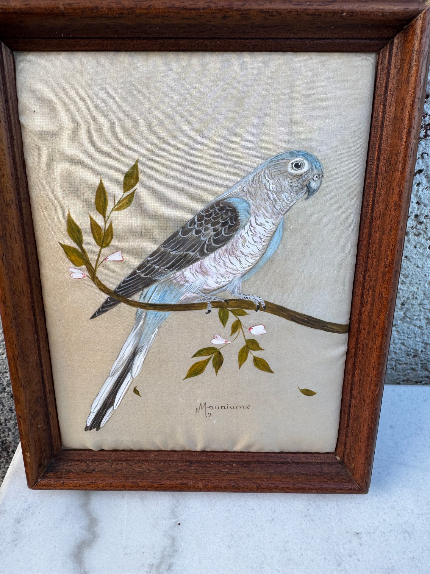 Pair of Hand-Painted Bird Portraits on Silk – Diamant de Gould & Perruche de Bourke – Signed Mauriane
