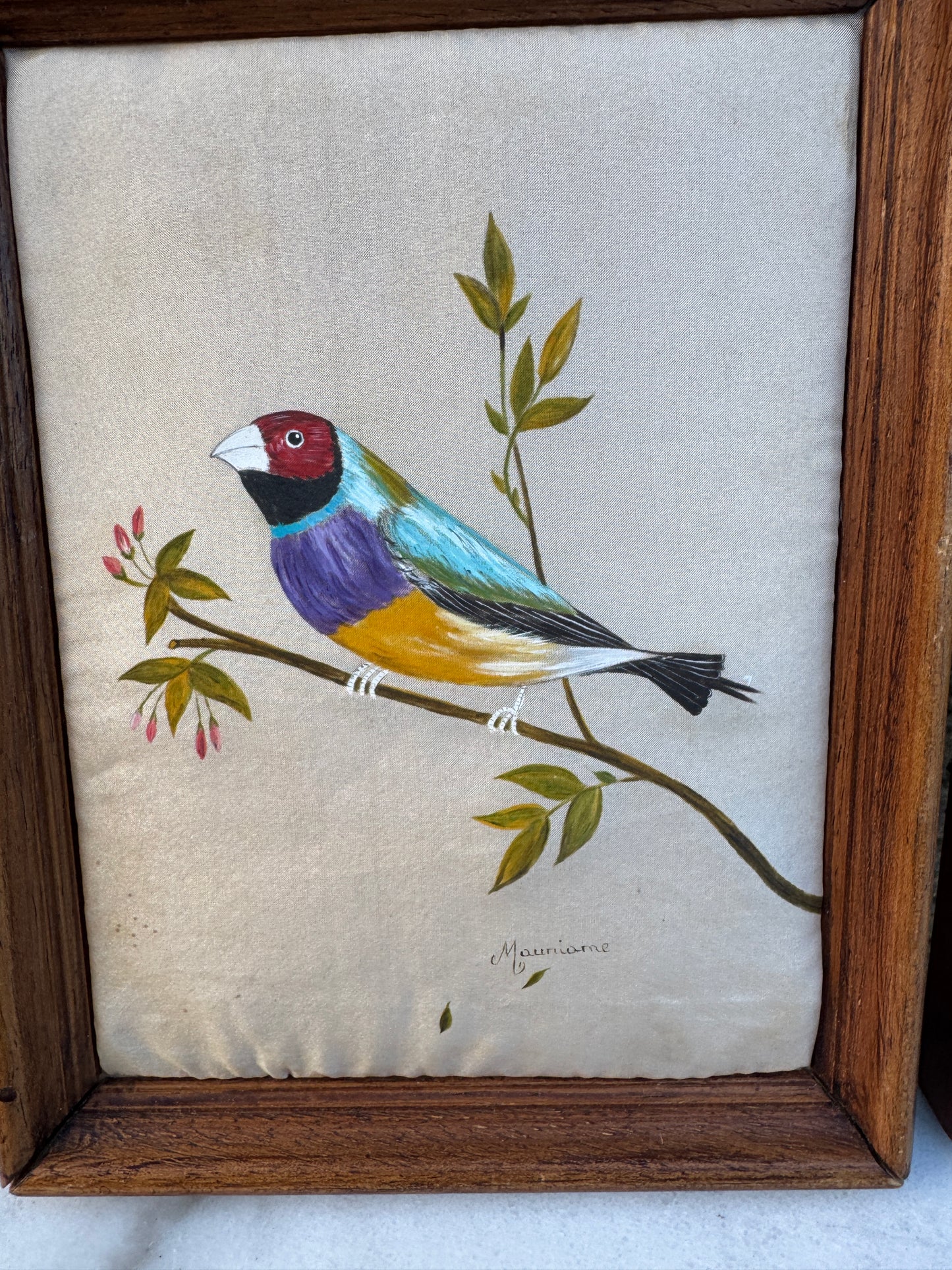 Pair of Hand-Painted Bird Portraits on Silk – Diamant de Gould & Perruche de Bourke – Signed Mauriane
