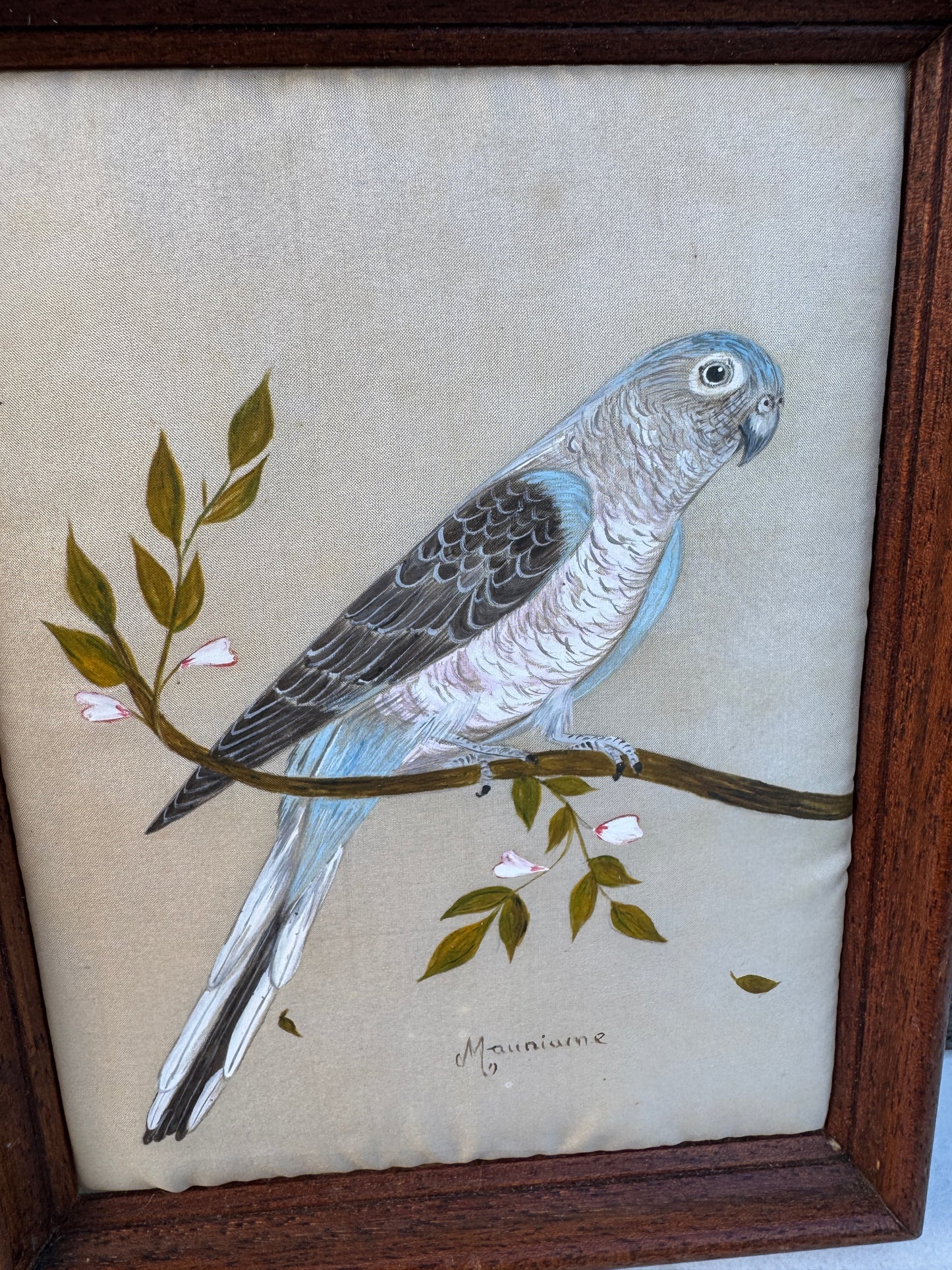 Pair of Hand-Painted Bird Portraits on Silk – Diamant de Gould & Perruche de Bourke – Signed Mauriane