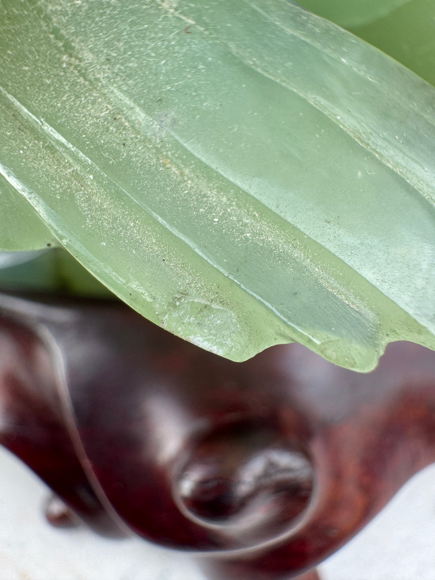 Vintage Hand-Carved Green Jade Birds Sculpture on Wooden Stand – Chinese Mid-20th Century