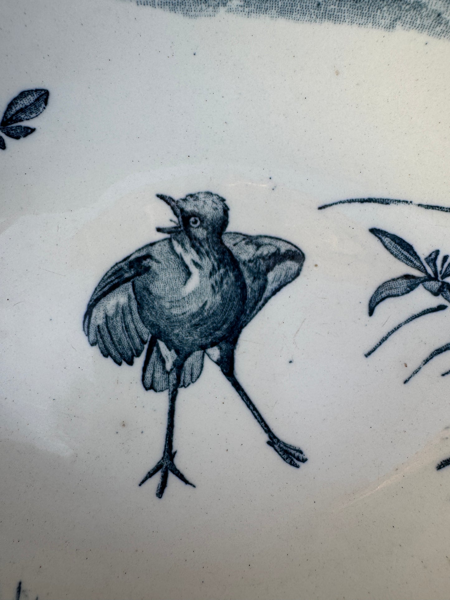 Antique French Faience Dish – Bird and Botanical Motif, 26.5x15 cm