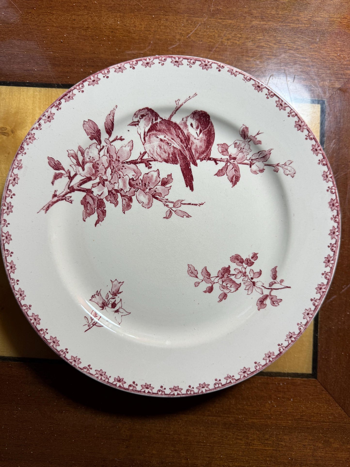 Antique Sarreguemines 'Favori' Plate – Birds on Blossoms – 23 cm