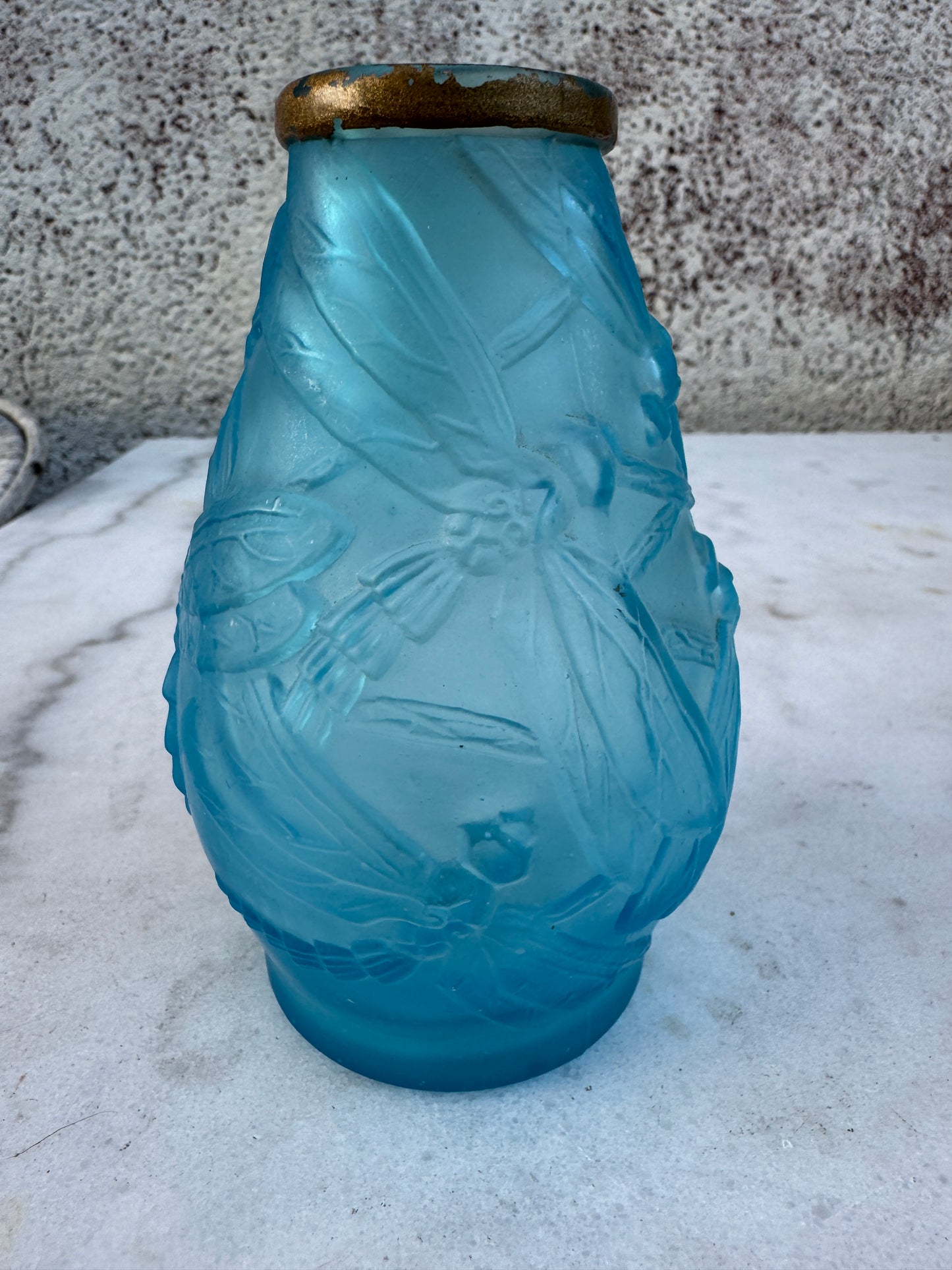 Vintage French Art Deco Glass Vase – Frosted Blue with Dragonfly Relief and Gilded Rim, ca. 1930s