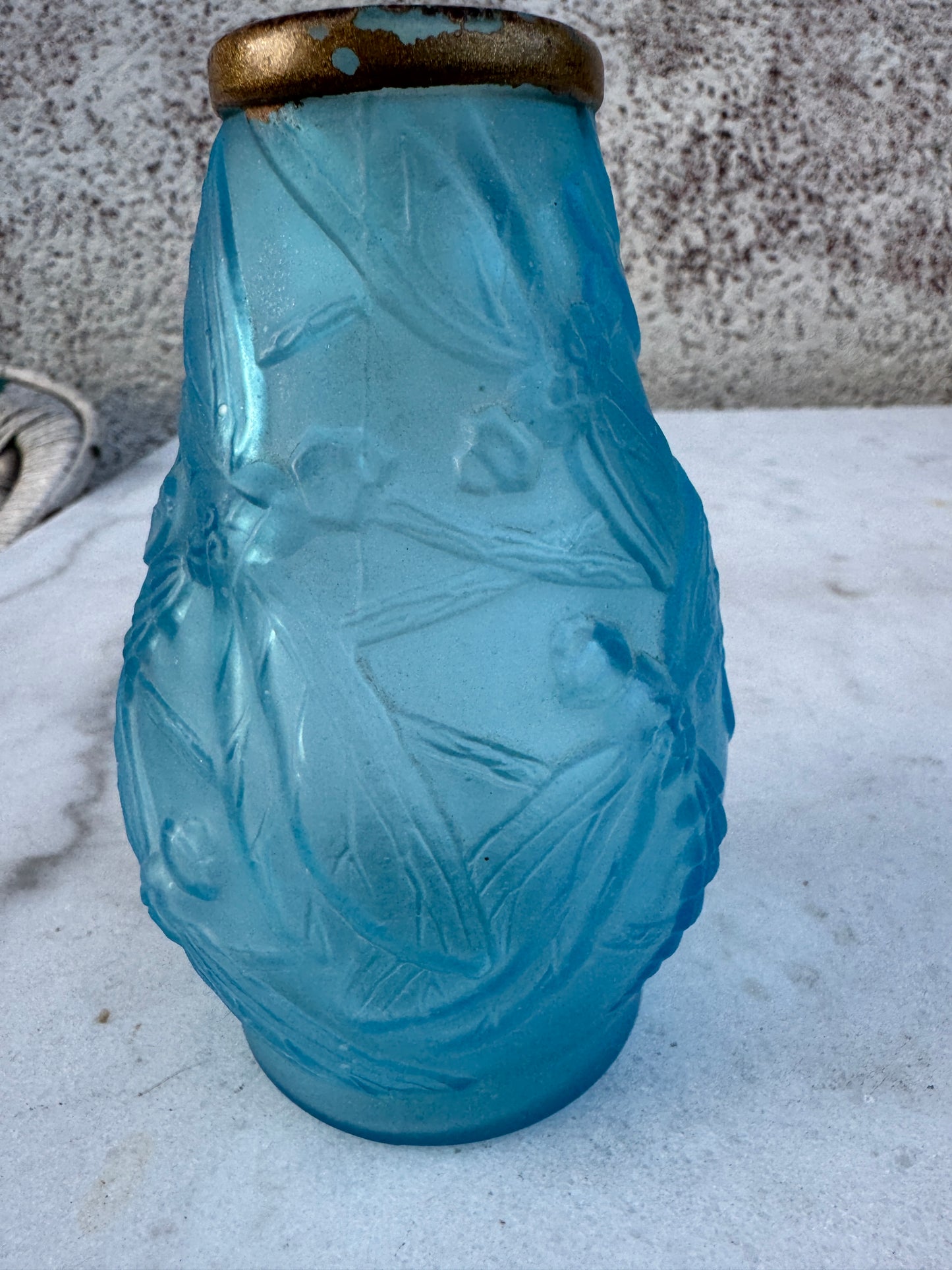 Vintage French Art Deco Glass Vase – Frosted Blue with Dragonfly Relief and Gilded Rim, ca. 1930s