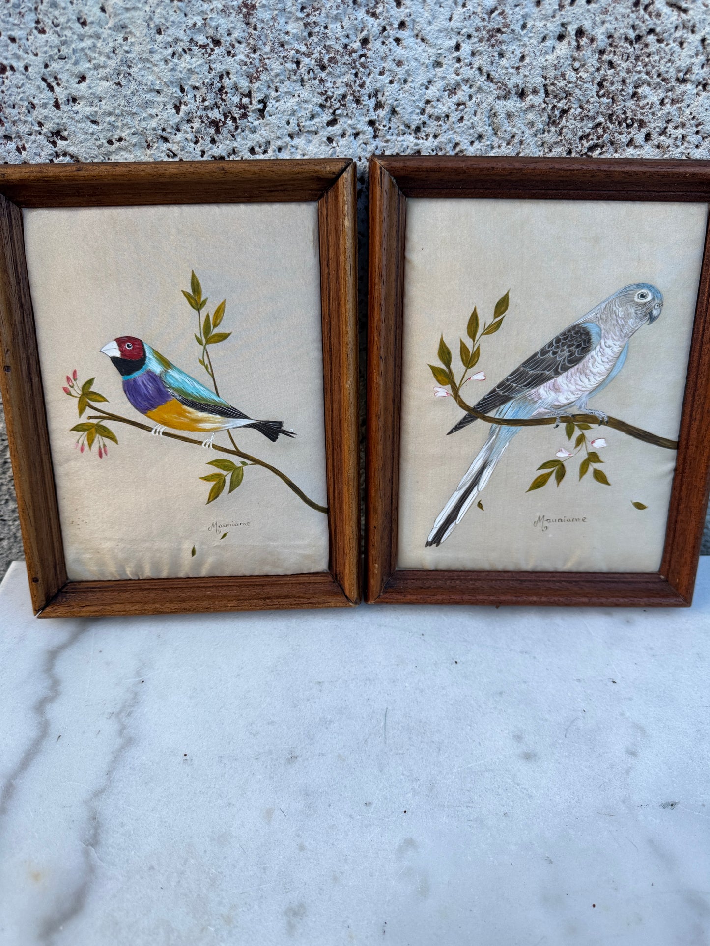 Pair of Hand-Painted Bird Portraits on Silk – Diamant de Gould & Perruche de Bourke – Signed Mauriane