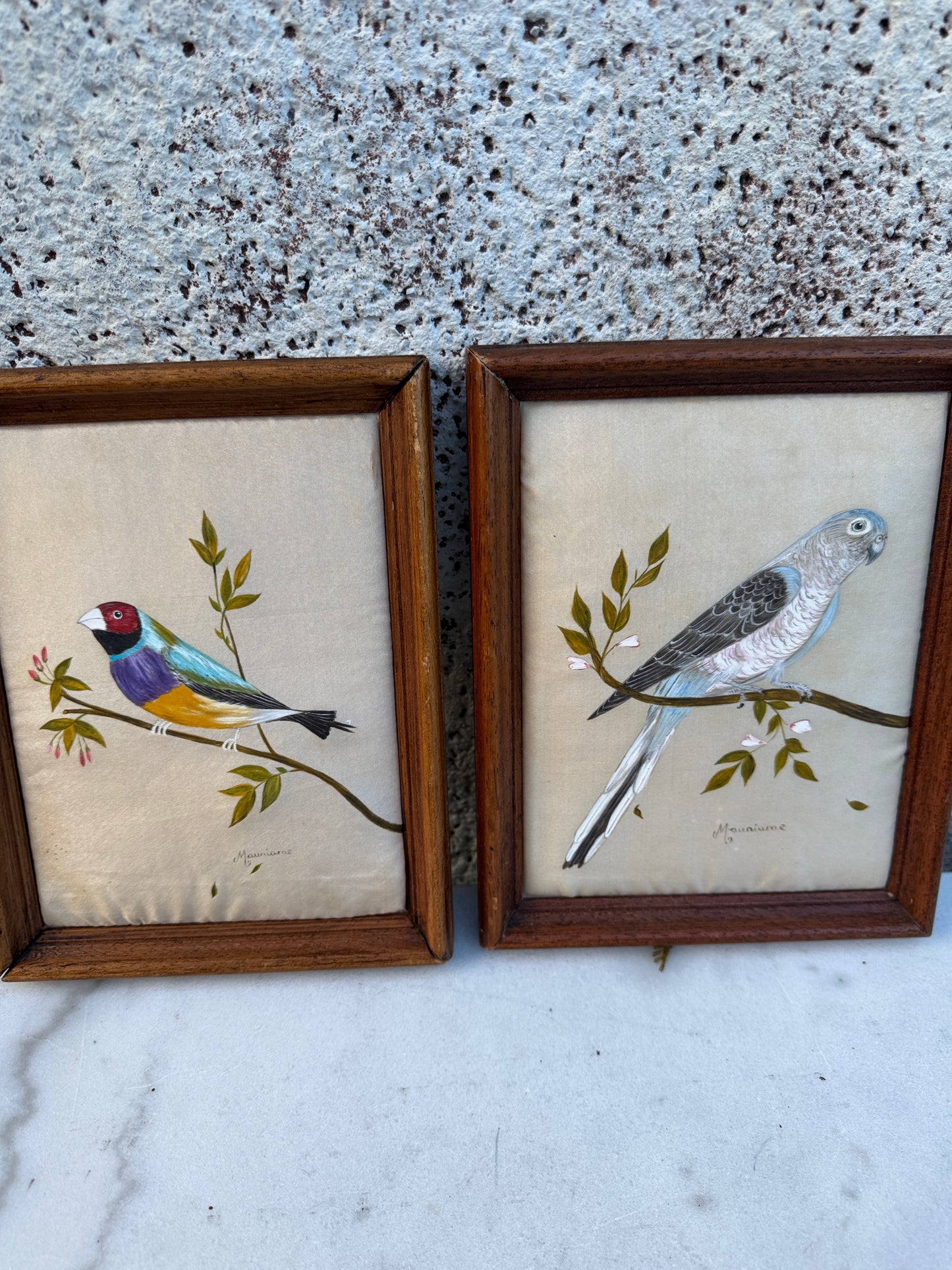 Pair of Hand-Painted Bird Portraits on Silk – Diamant de Gould & Perruche de Bourke – Signed Mauriane