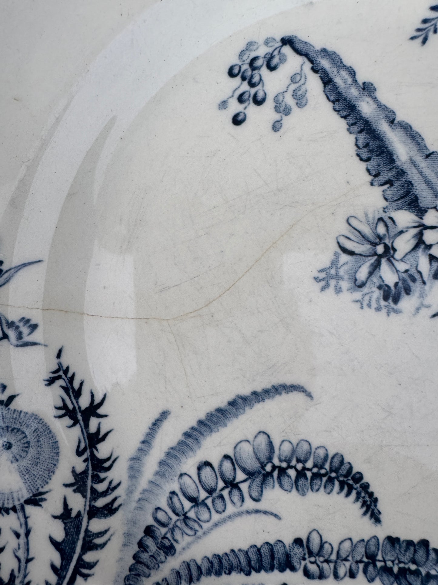 Antique French Terre de Fer Plate – “Indiana” Pattern – Blue & White Transferware – 24 cm – Late 19th Century