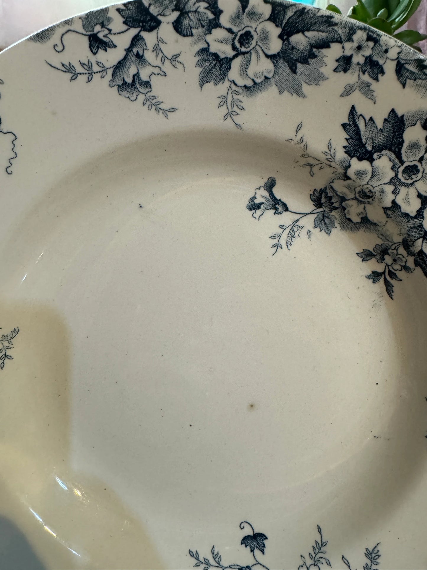 Antique French Plate - St. Amand et Hamage 'Marie-Louise' - 23 cm